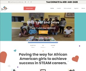 Non-Profit IT Volunteer Work